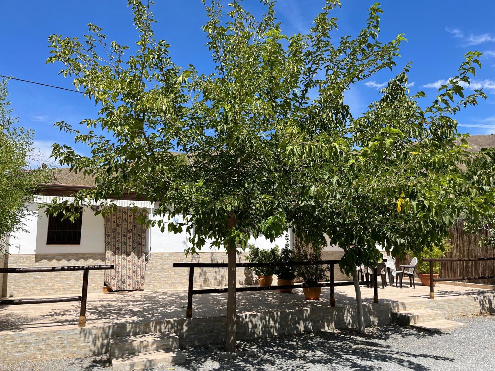 Cortijo Los Cahorros Sierra Nevada Моначиль Екстер'єр фото